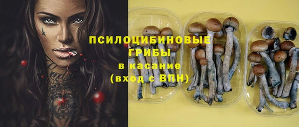 мдпв Костерёво
