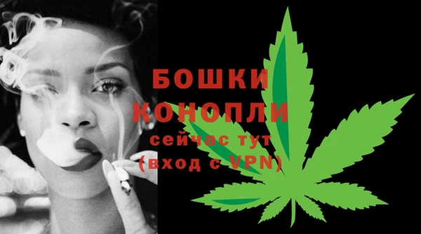 мдпв Костерёво