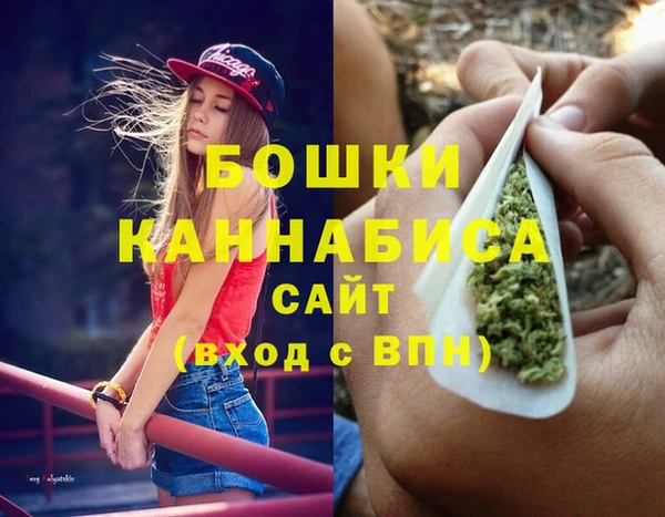 мдпв Костерёво