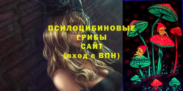 мдпв Костерёво