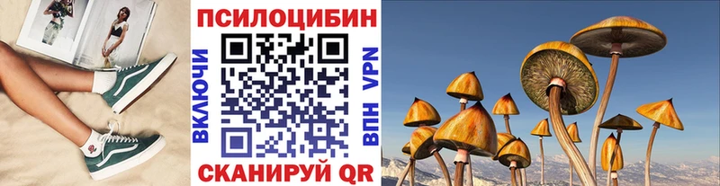 Галлюциногенные грибы мицелий  Купить закладки  Можайск 
